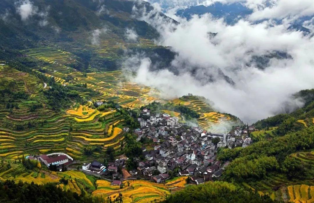 丽水vs景德镇,丽水第一强县