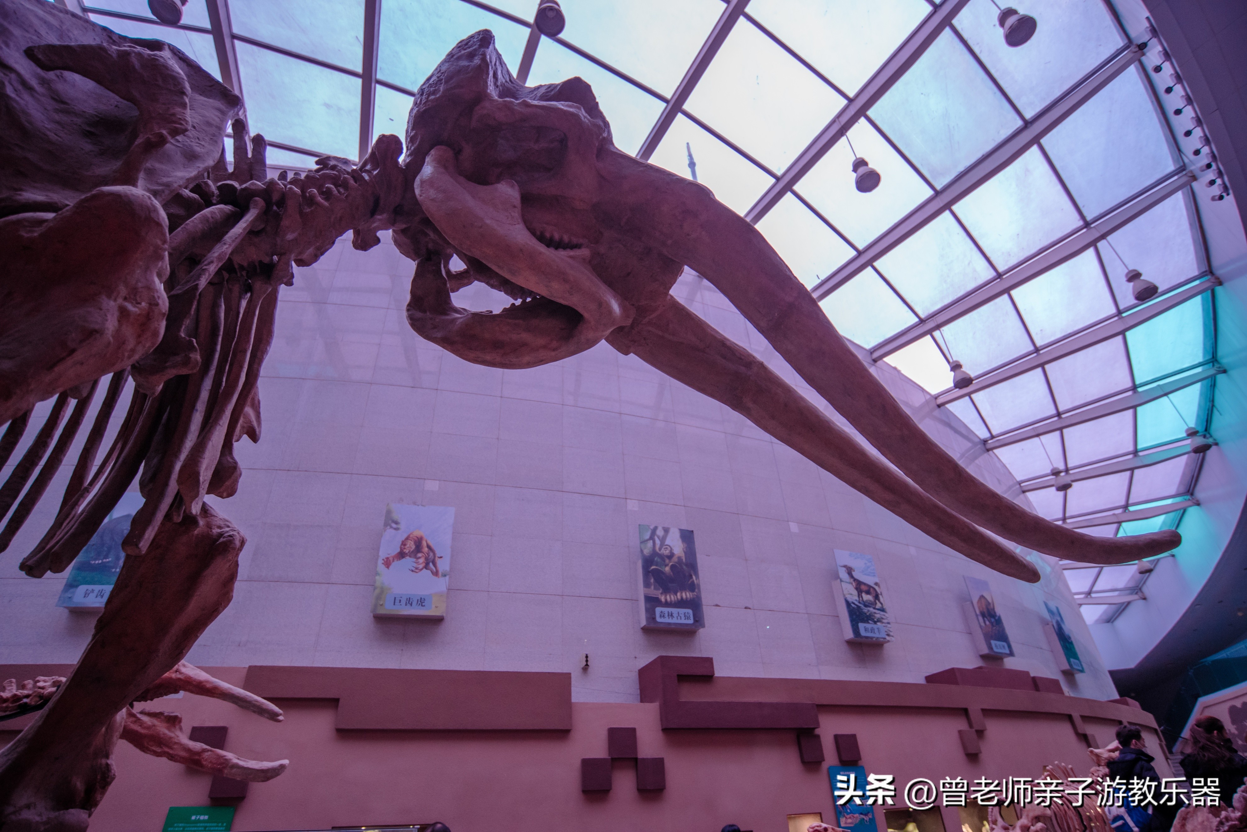 西安2023旅游攻略,2023年西安必去景点