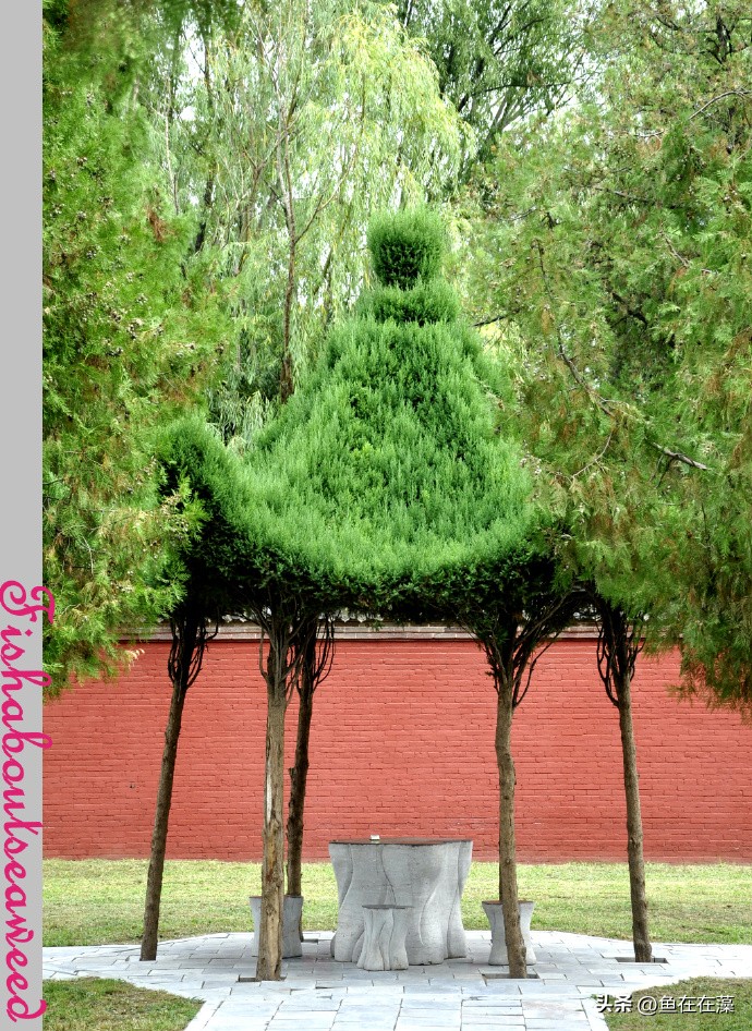 太昊伏羲陵与周口多远,周口淮阳太昊伏羲陵现在状况