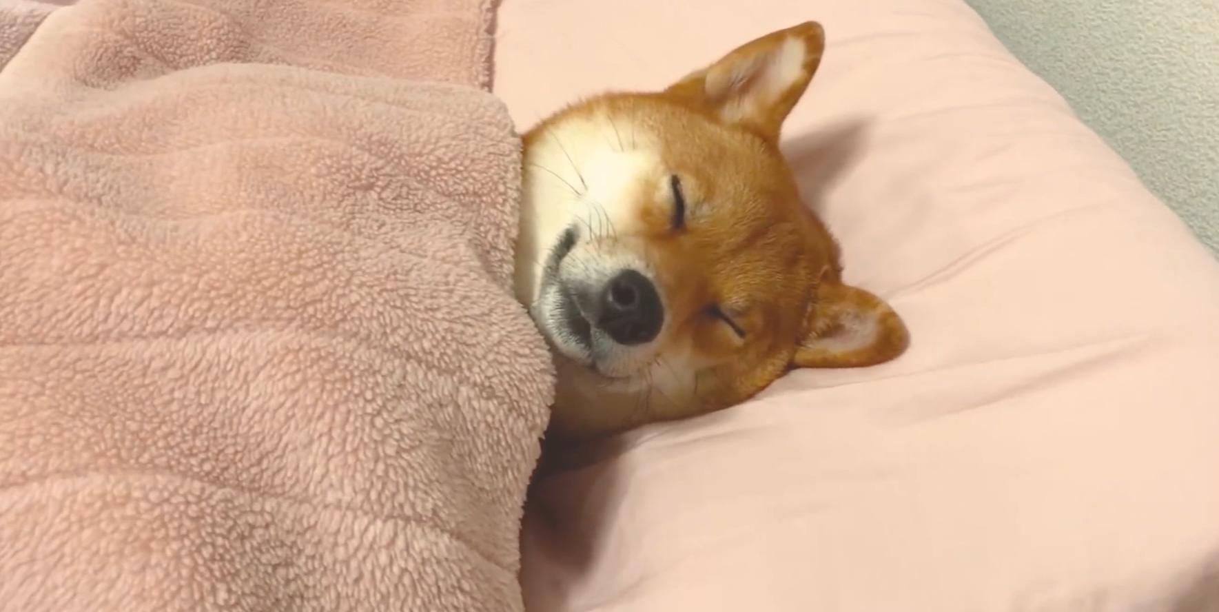 藏在乡下的暴利生意,藏在农村的暴利生意