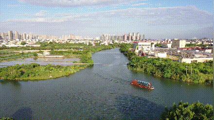 莆田首批水上巴士试运营,莆田水上巴士西洙码头