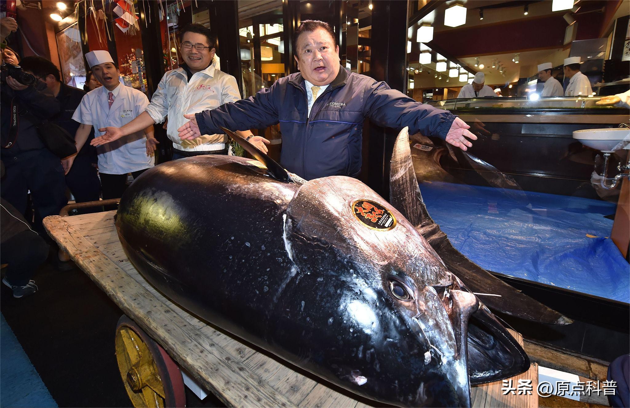 日本100种奇葩美食,日本八大奇葩美食
