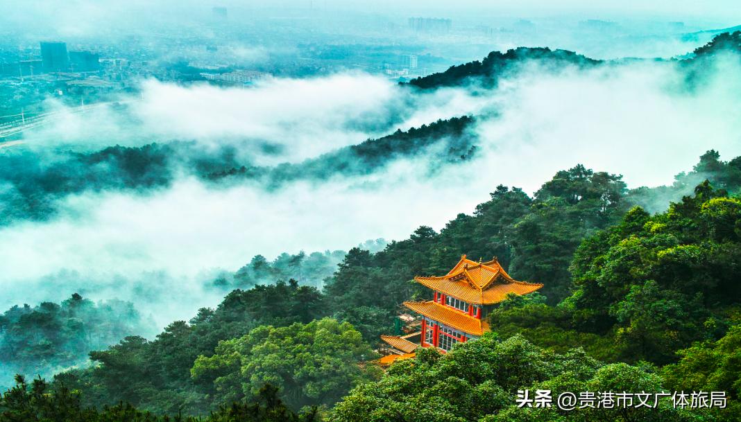 广西研学旅行推荐,2022广西研学旅行方案