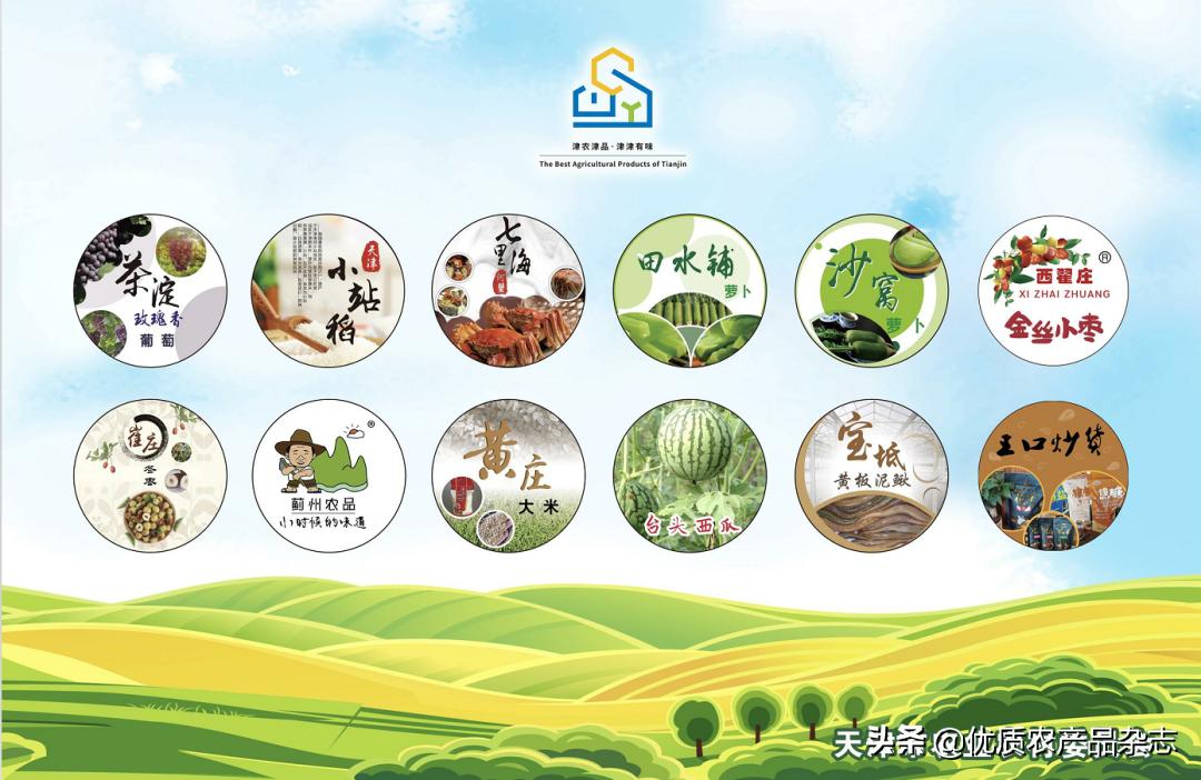 “卜”同凡响的田水铺萝卜