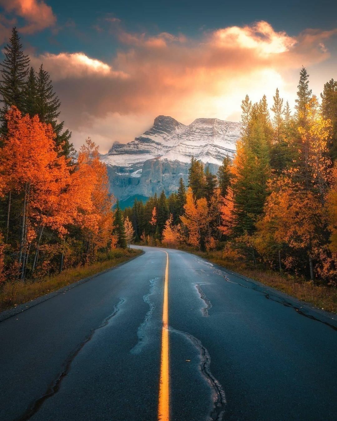 【被窝段子20221225】每个人的花期不同不必焦虑有人比你提前拥有