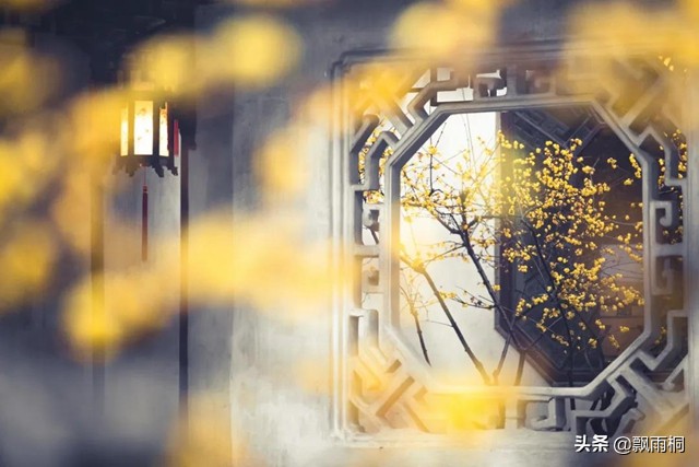 金庸天龙八部的解析,金庸天龙八部小说讲的什么