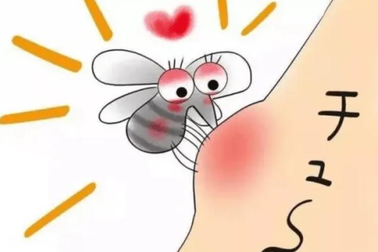 宝宝夏天很惹蚊子,宝宝被蚊子困扰