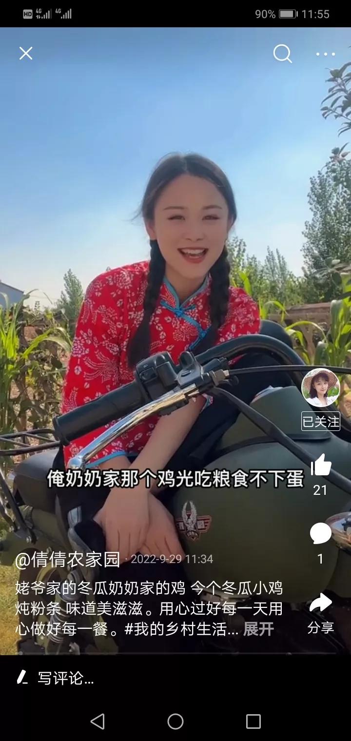 奶奶养的鸡逃了,奶奶养了两年没舍得吃的鸡