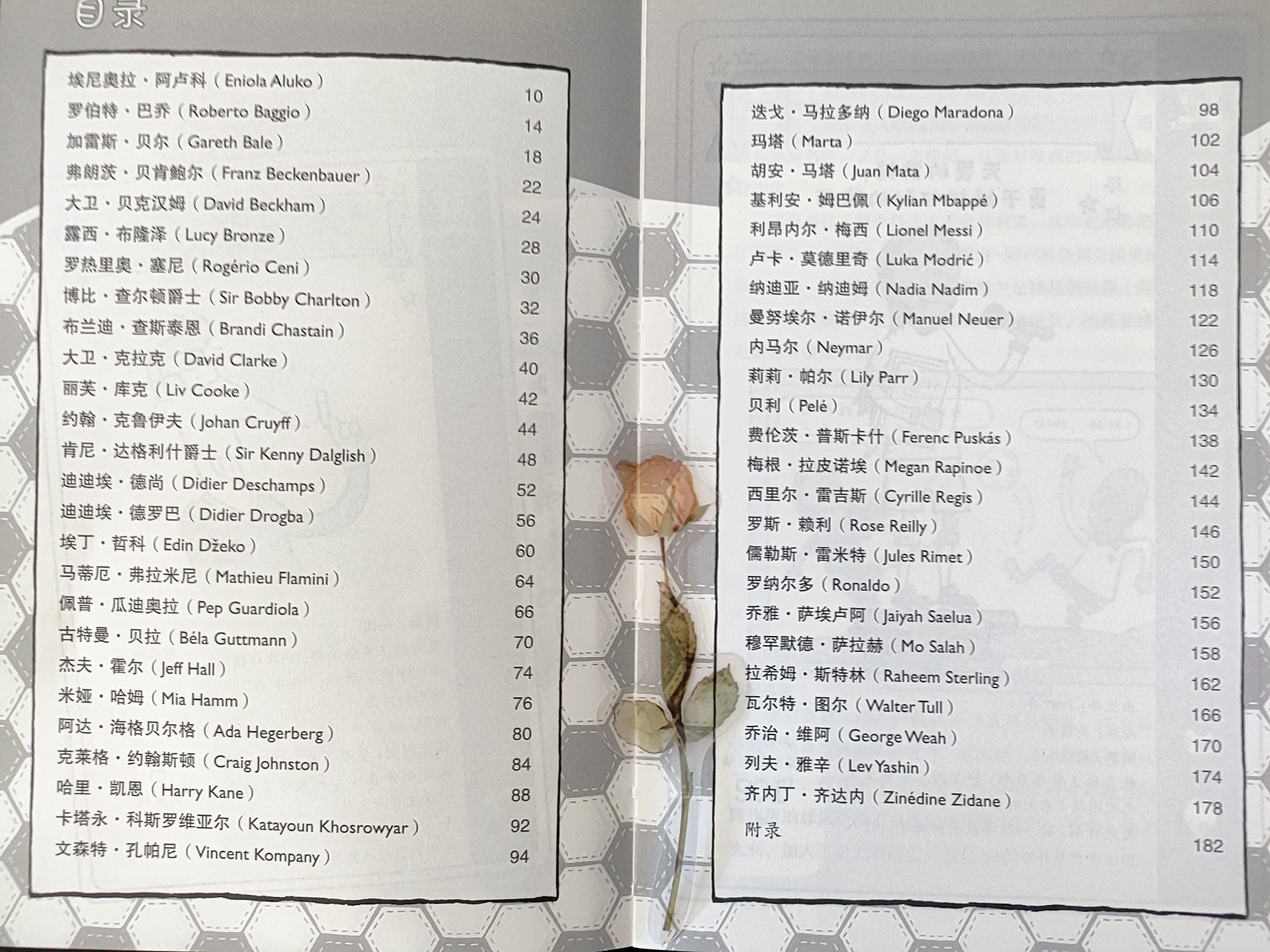 足球名人故事视频,足球巨星成长故事