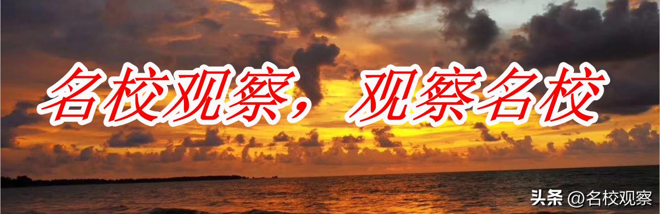 雏鹰展翅，乳虎啸谷！双中教师，书香尽染才露角，雄鹰定当凌绝顶