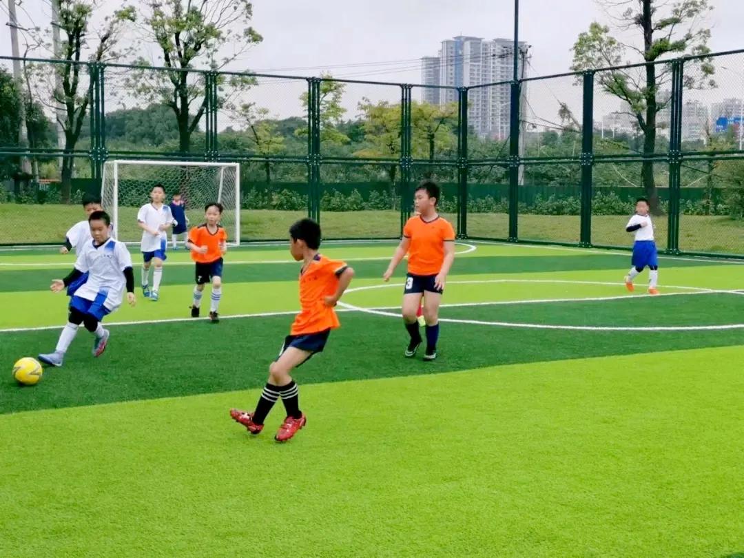 福清市第十六届运动会,福清市级足球赛