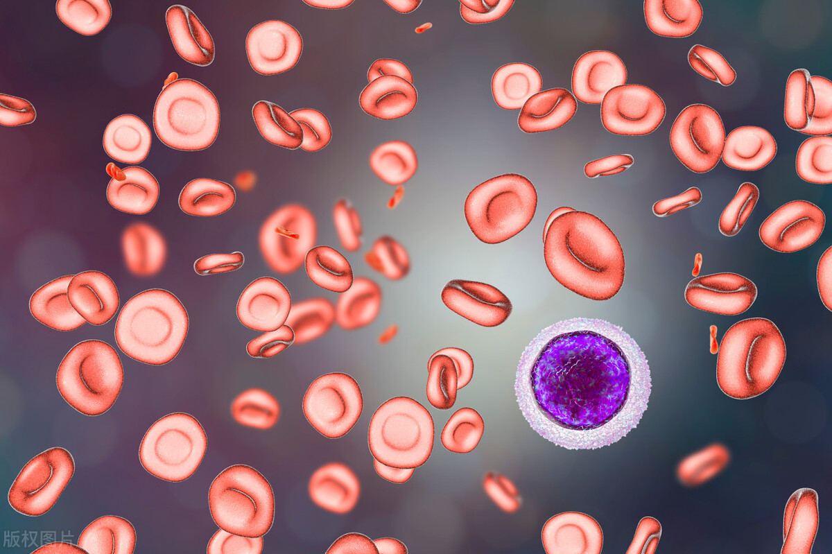 缺铁一定不会导致贫血吗,缺铁会导致贫血