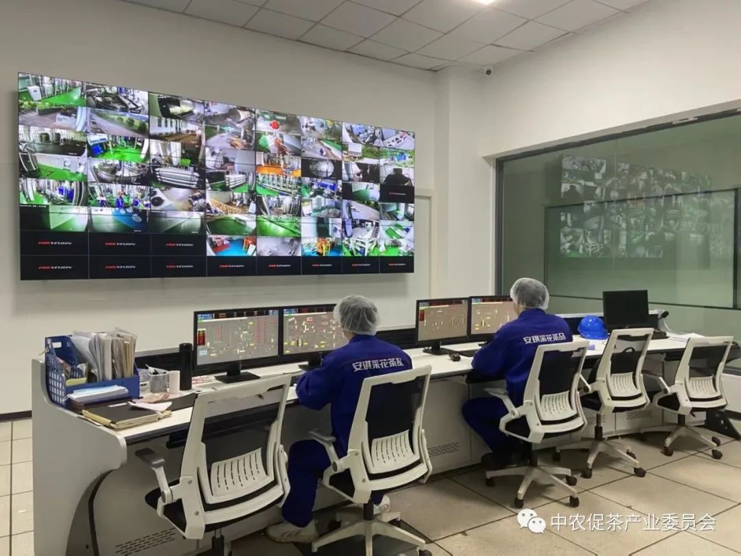 湖北省五峰毛尖绿茶,我为家乡代言五峰茶