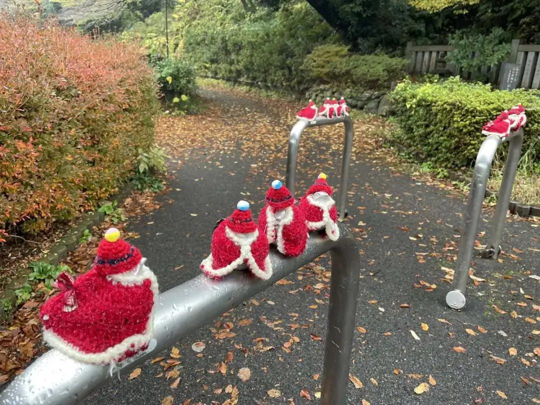 害怕小鸟受凉，有人悄悄为它们织了22年的毛衣