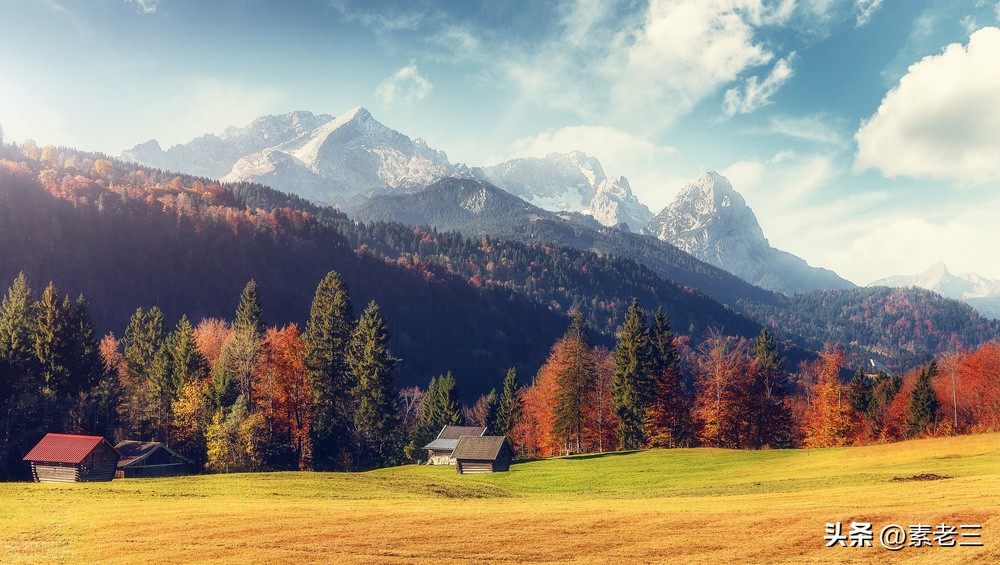 女作家去做保姆463,女作家去做保姆584