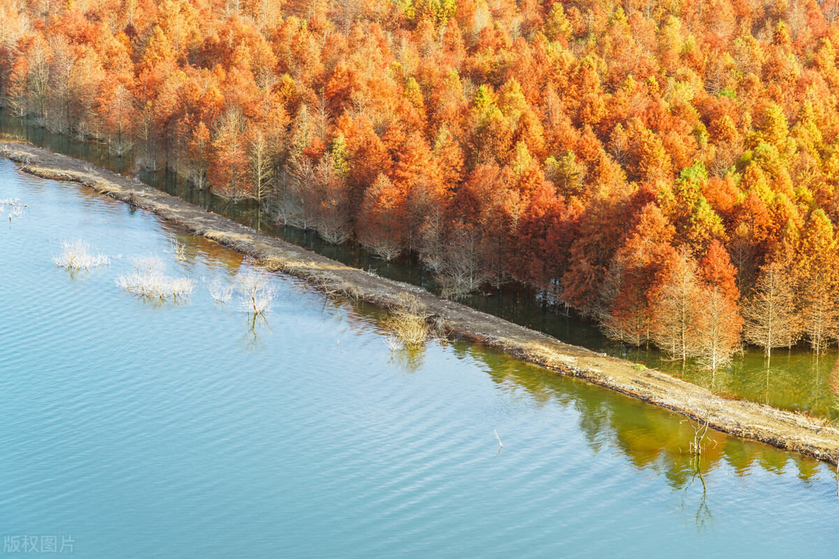 鬼谷子和韩非子谁前谁后,晋阳之战韩非子