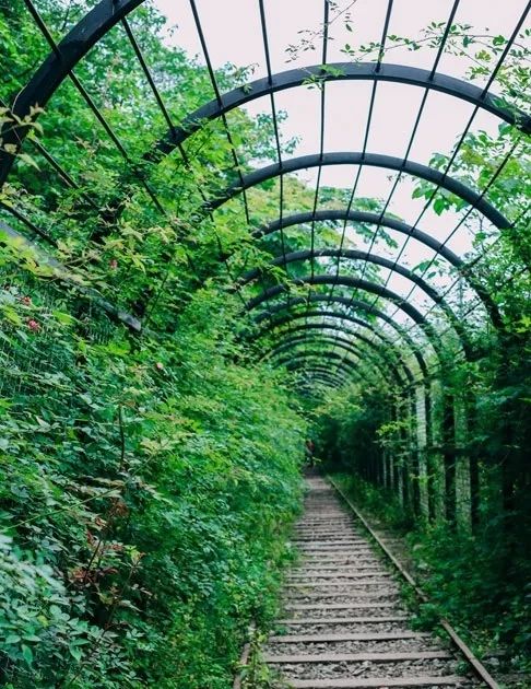 重庆五一免门票景点,盘点去重庆必定玩的地方