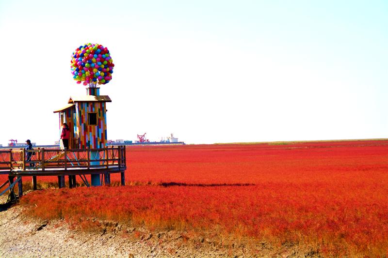 辽宁盘锦在哪个地方,去盘锦旅游哪里好