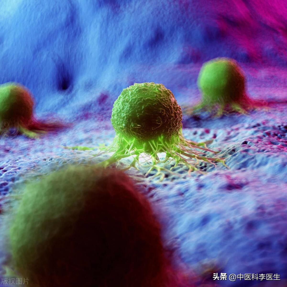 同样人口众多，为啥我国患癌数量是印度的3.5倍？哪些要改进？