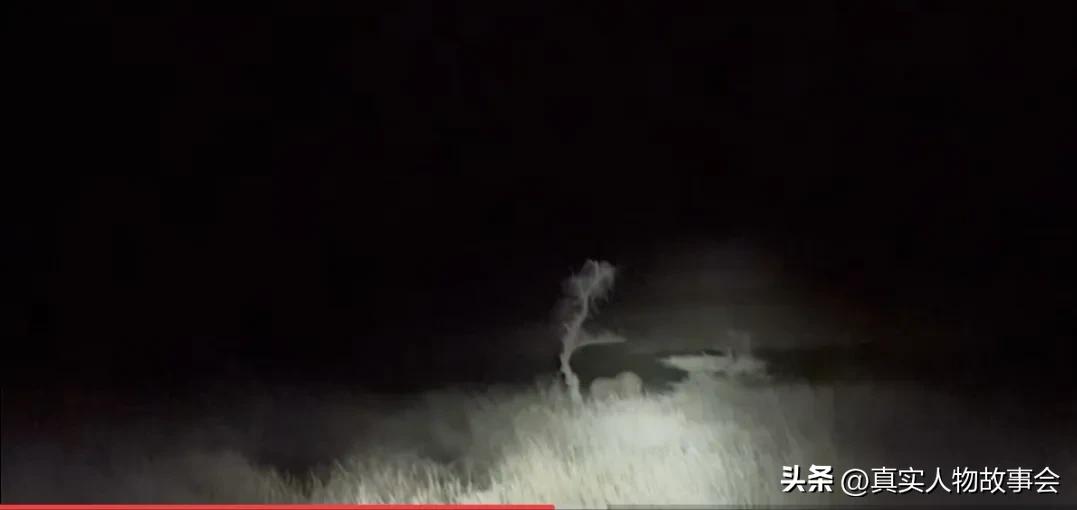 95后山东小伙勇闯非洲4年，请马赛人当保镖，发现非洲海鲜很便宜