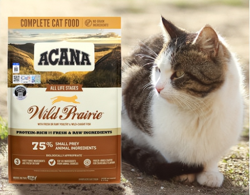 放心猫粮都是什么品牌,什么品牌的猫粮比较好