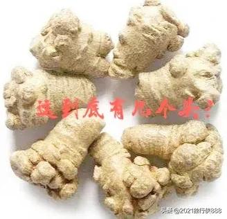 10头三七和15头三七的区别,认识三七