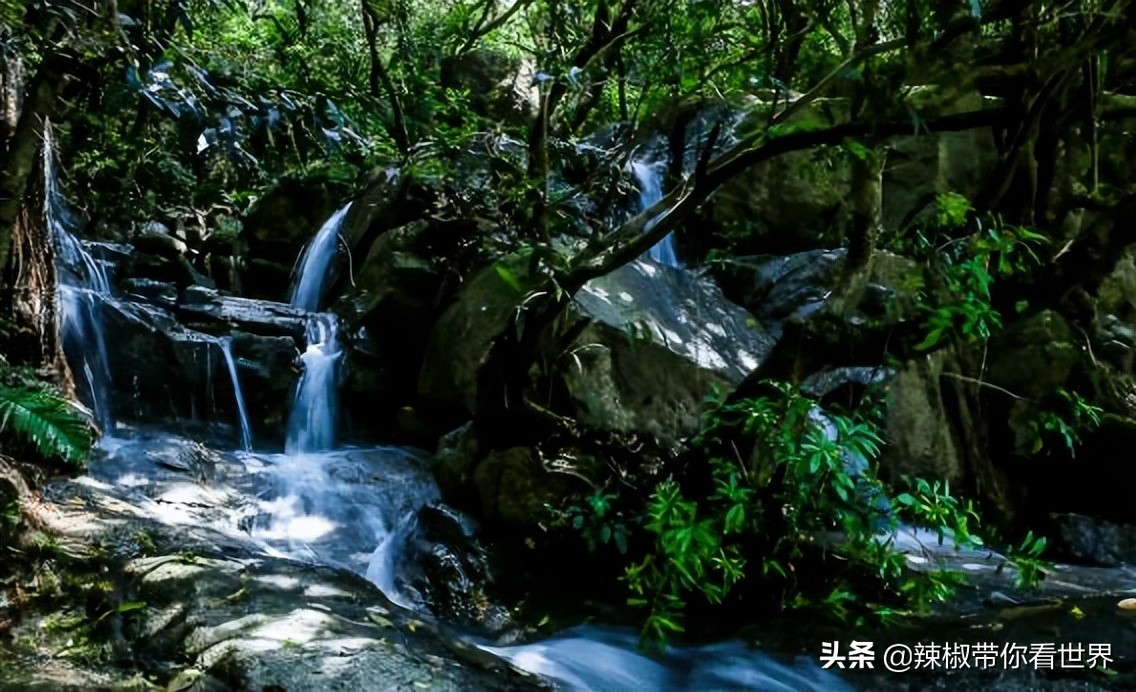 惠州市海岸线,惠州的海岸线