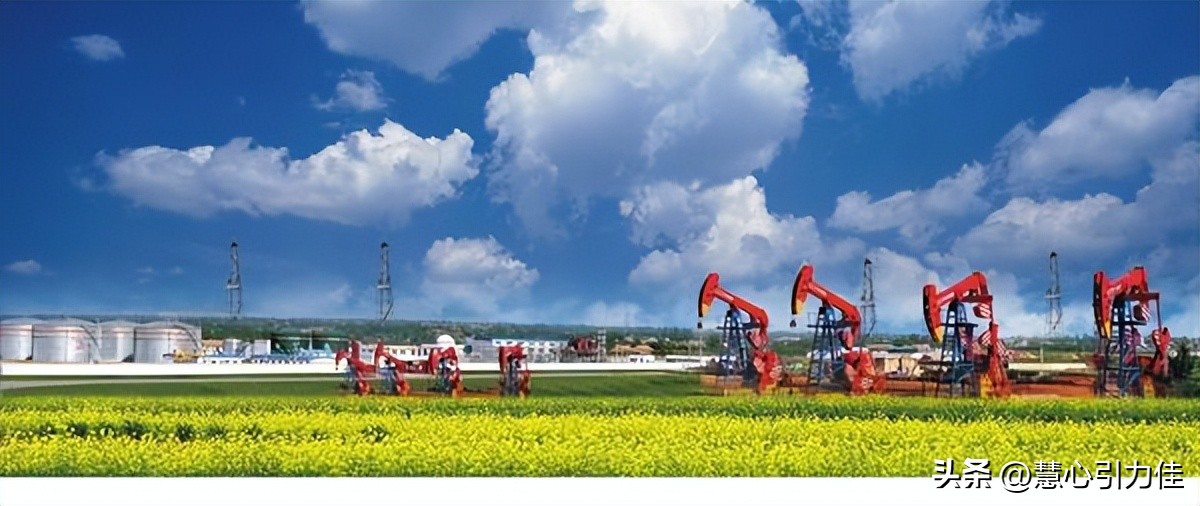 我国可以低价买俄罗斯原油吗,俄罗斯石油卖不出去为什么油价涨