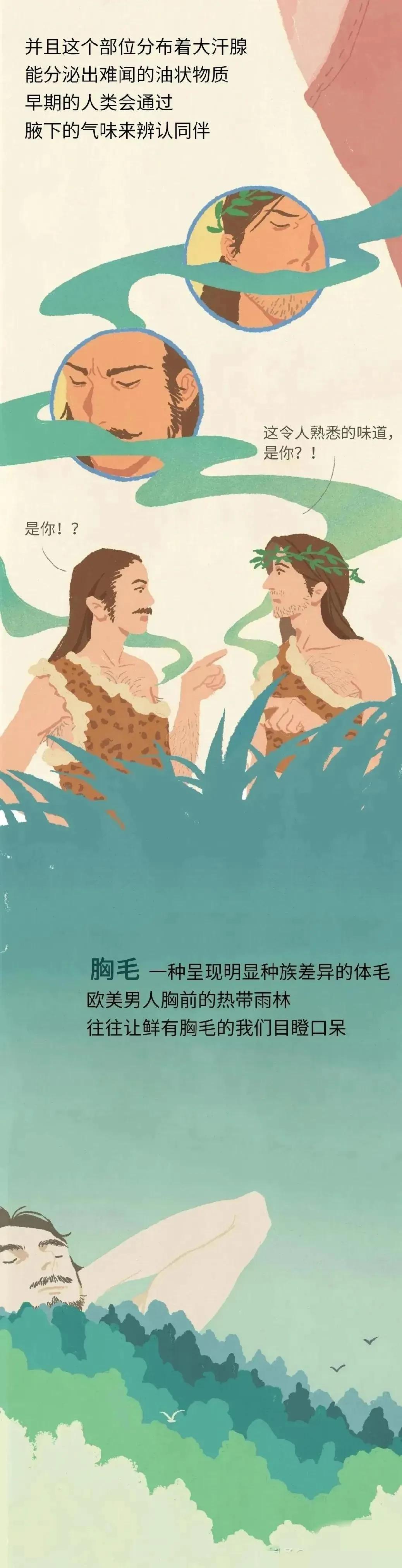 人类的体毛作用,人类的体毛是怎样退化的