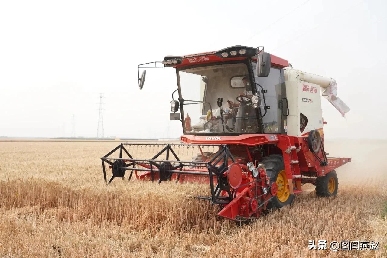 保定博士农场支持政策,保定博士农场