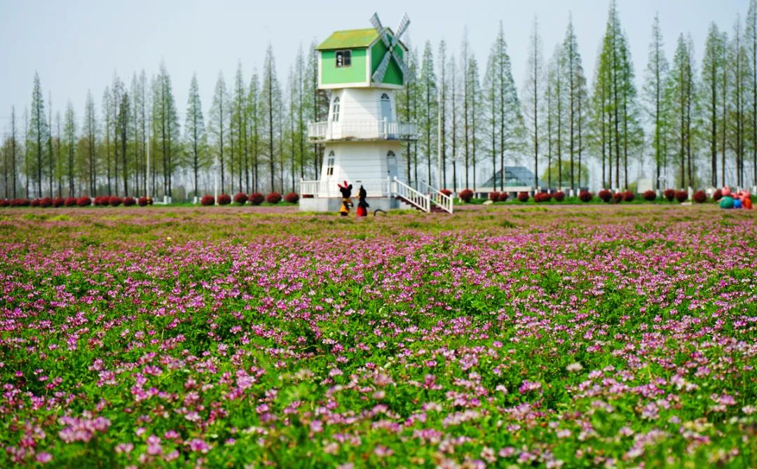 泰州姜堰出发自驾1日游好去处攻略推荐