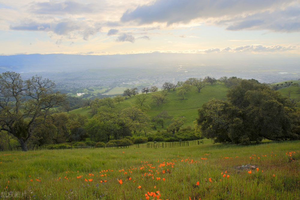 前列腺肥大疼痛如何缓解,治疗前列腺肥大三个准则不可不知