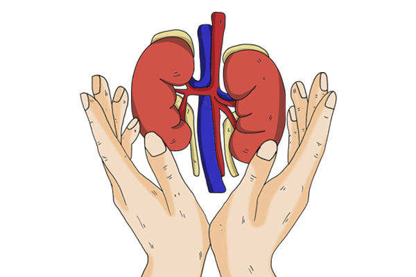 归脾丸逍遥丸可以吃多长时间,归脾丸逍遥丸什么时候吃效果最好