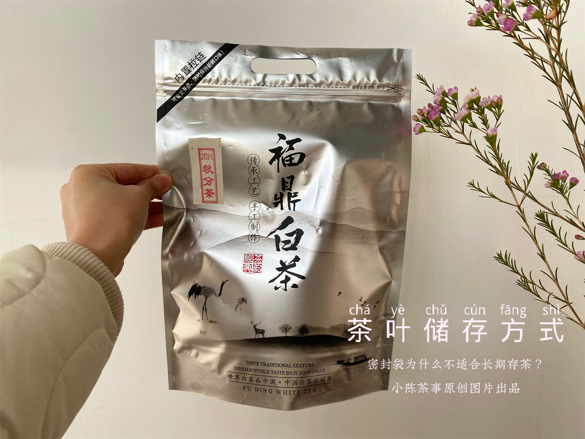 用防潮袋密封存茶可以吗,密封袋里的茶怎么储存