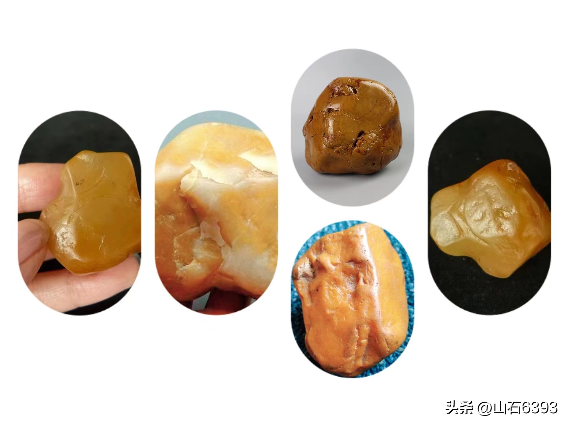 张梅：《石头》——是怎样“把石头养出温度”滴