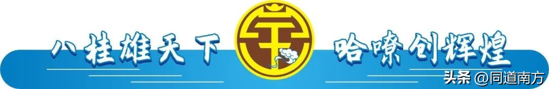 青岛海牛vs广西平果比赛结果,后会有期第二集