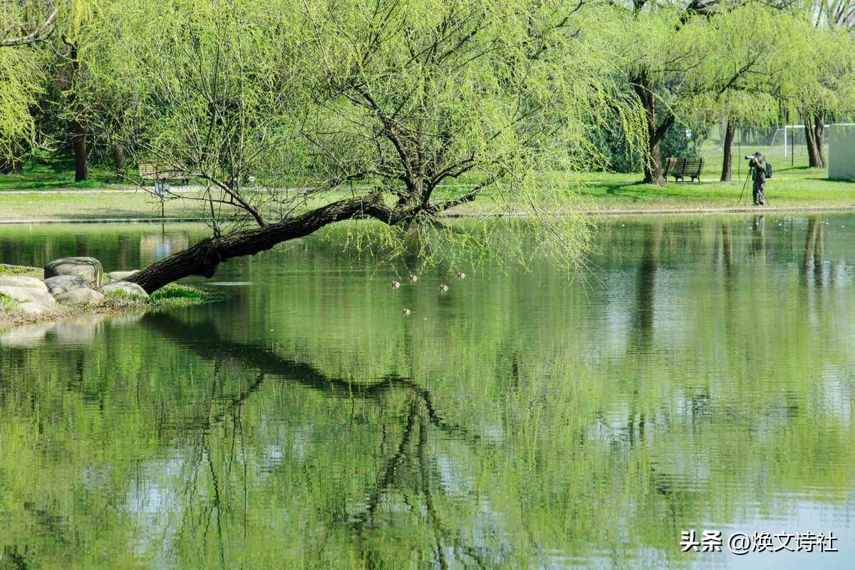 春天诗词最美十首,极美的十首春天诗词