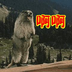 刷1000题要记答案就行吗,刷题10000道