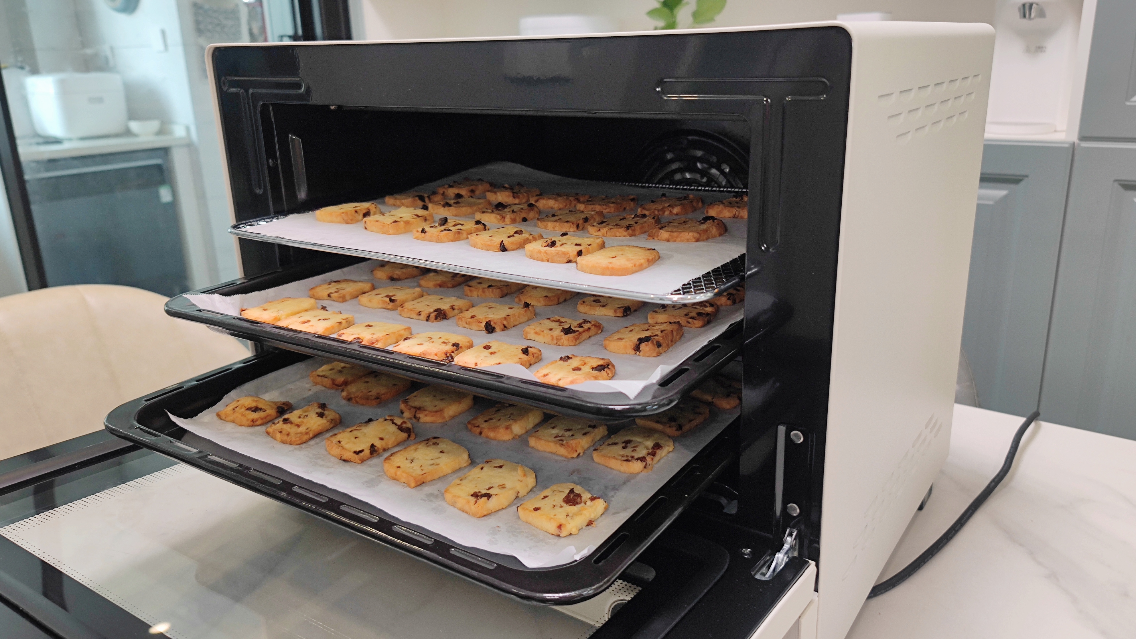 长帝大白鲸烤箱使用方法视频教程,长帝大白鲸哪个烘焙博主用