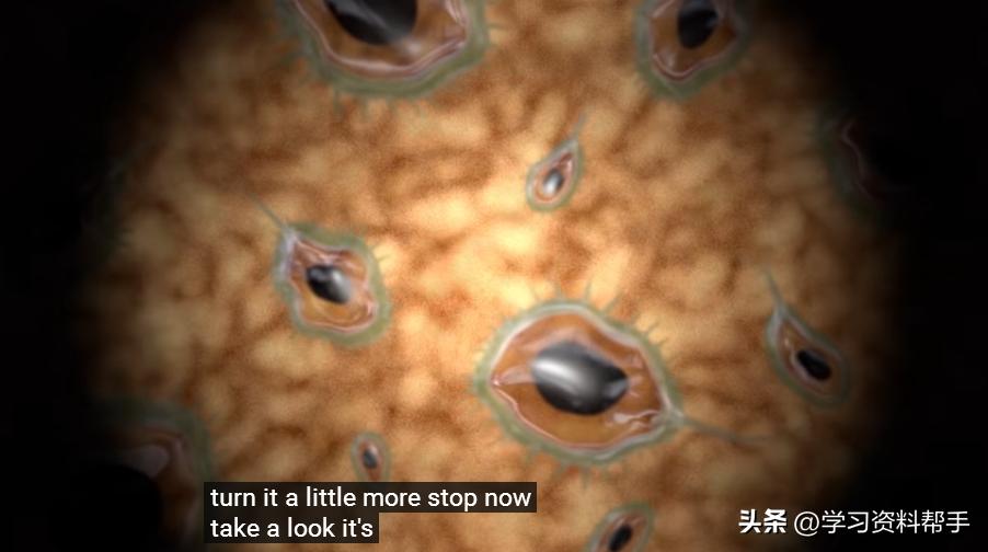 俄罗斯国宝级动画片《螺丝钉》,俄罗斯国宝级动画螺丝钉