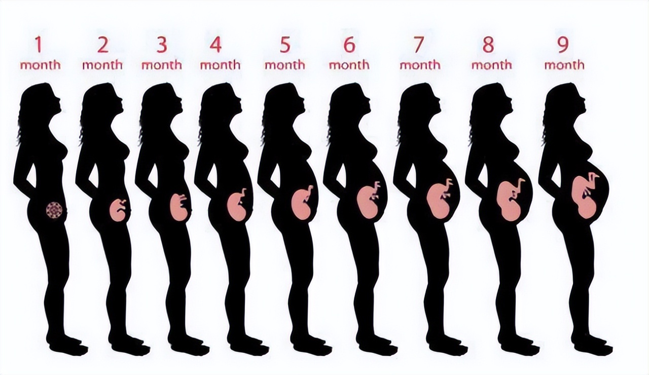 一胎长胎不长肉二胎长肉不长胎,二胎妈妈怎么吃不长肉