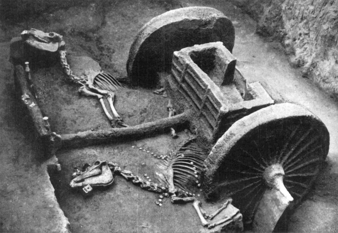 张光直有声小说,张光直中国青铜时代讲的什么