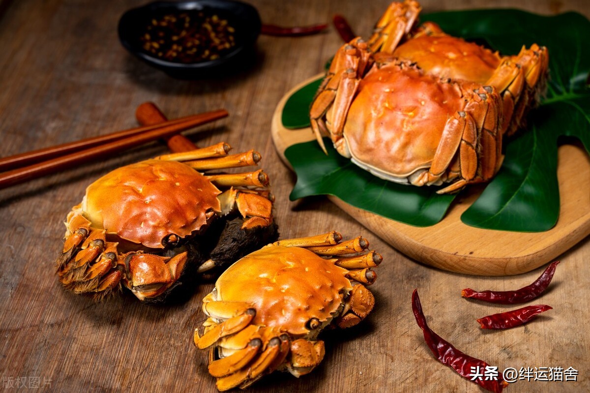 大闸蟹保存方法泡沫箱,海水大闸蟹保存方法