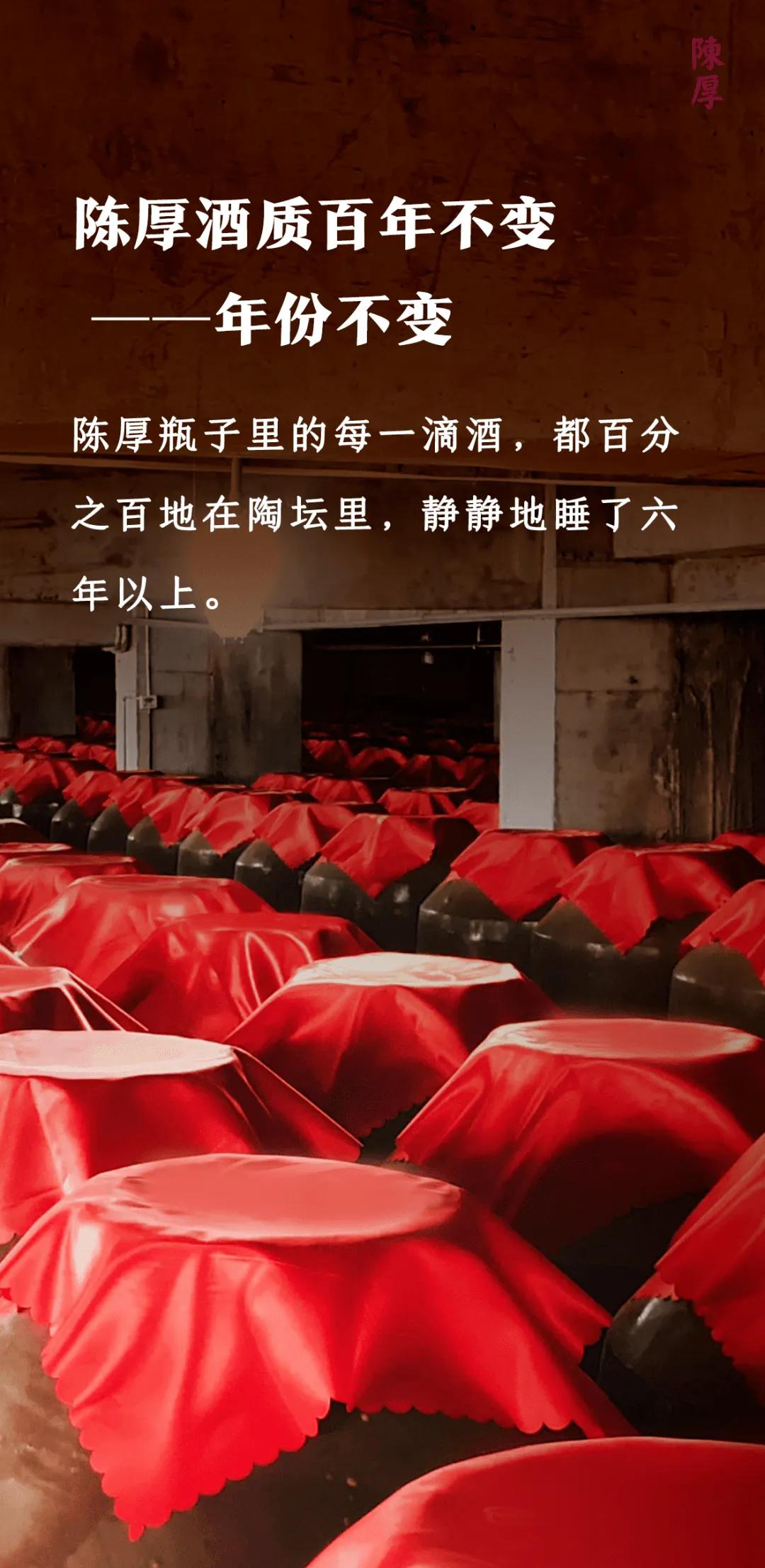 好酒遇知音,好酒遇知音完整版