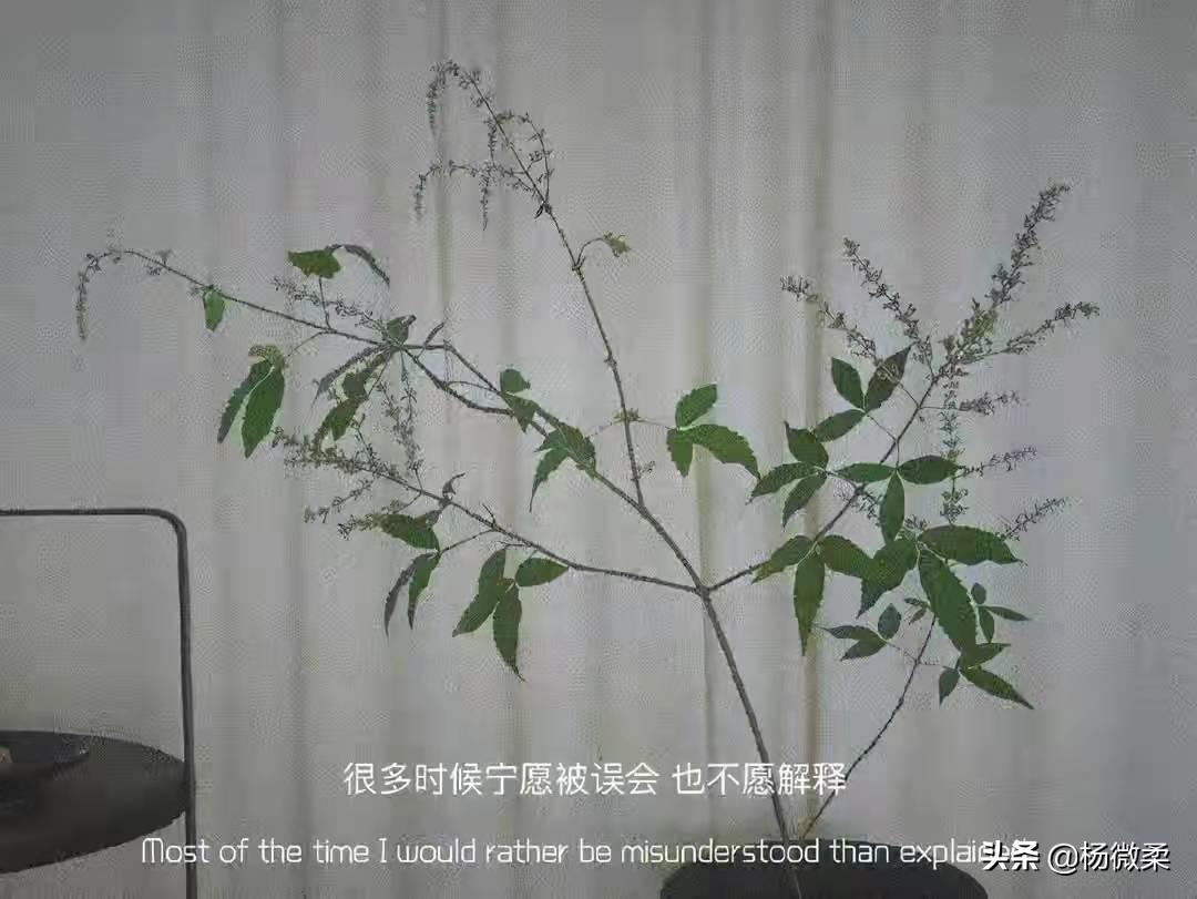 每天自我提升的8个好习惯,自我增值的9个好习惯