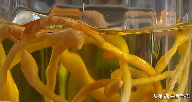 鐝嶅铏崏,鐝嶅杈藉懗澶ц繛