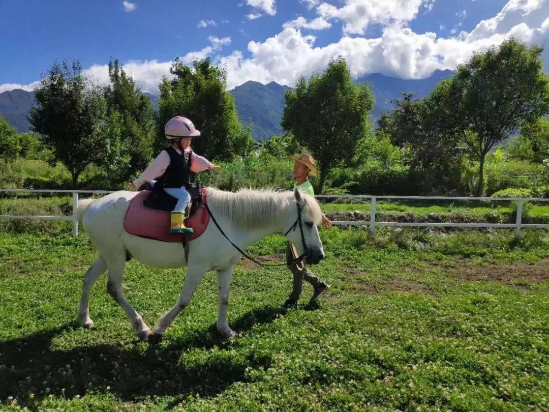 大理幼儿园环境,大理县城幼儿园
