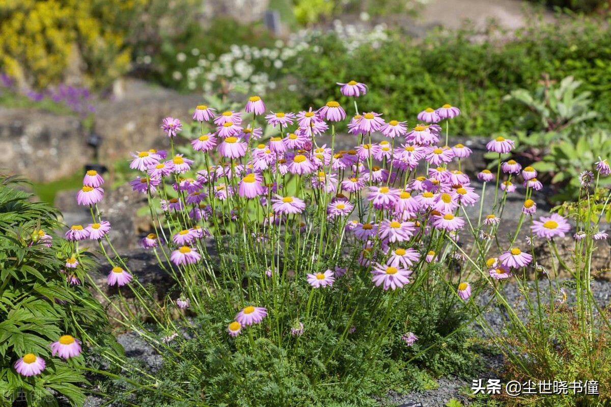 李贺的一生很不幸，过着颠沛流离的生活，创作出来的诗也是很伤感