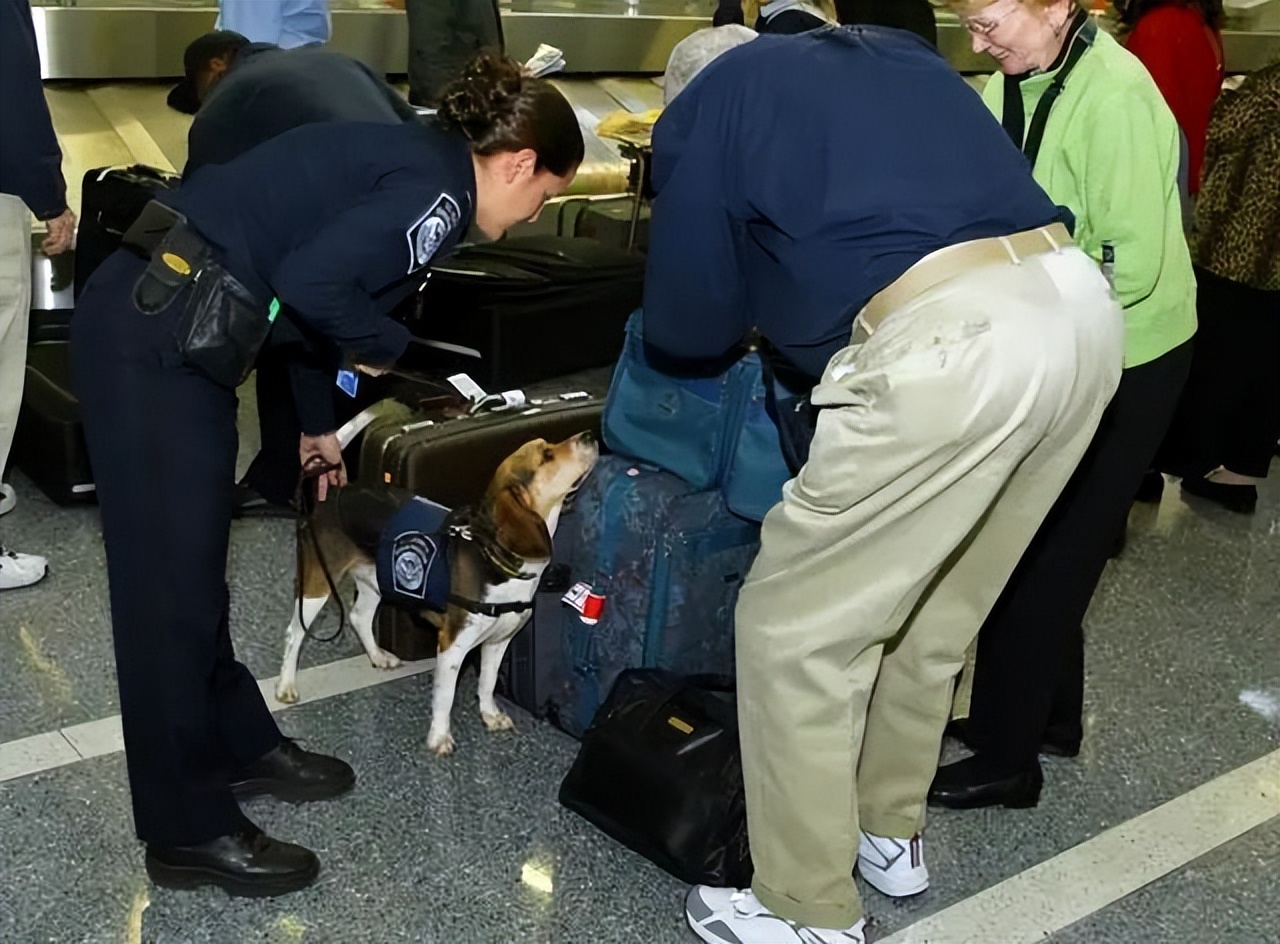 留学生回国被海关查验,留学生进美国海关被清查