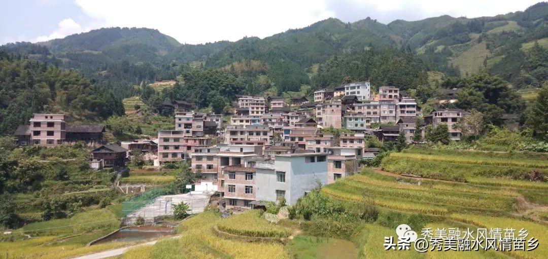 【献礼70周年县庆·人物访谈篇之六十七】莫彩萍：从外地媳妇到村支书带领全村脱贫致富